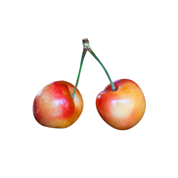 Green Apple - Image 2