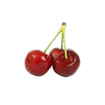 Branch Apple