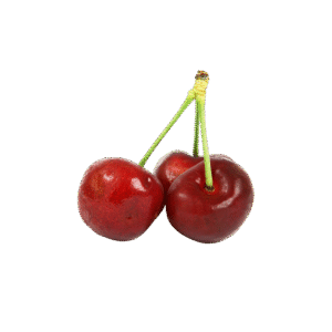 Branch Apple